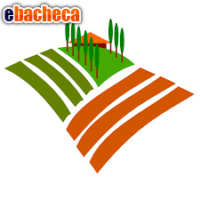 terreno agricolo in vendita a Cavarzere