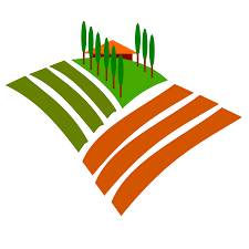 terreno agricolo in vendita a Cavarzere