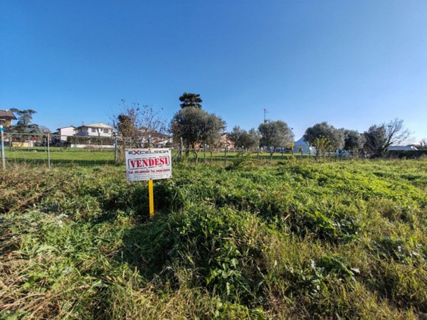 terreno edificabile in vendita a Cavarzere