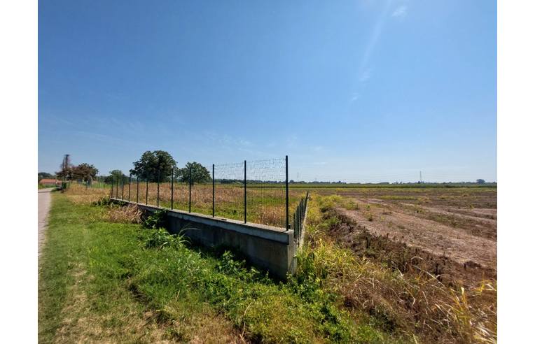 terreno agricolo in vendita a Cavarzere