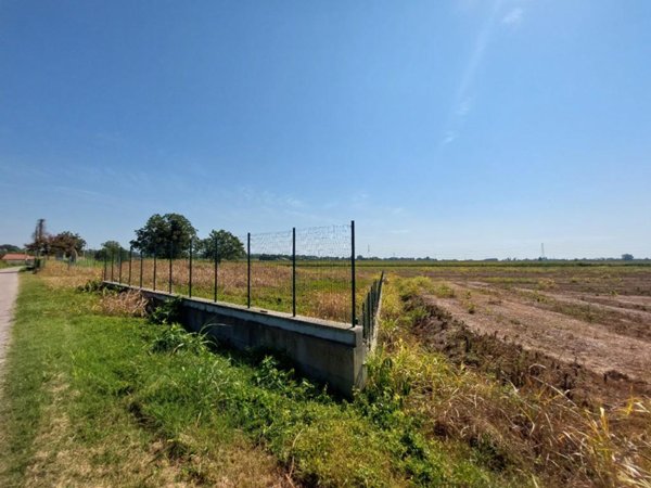 terreno agricolo in vendita a Cavarzere