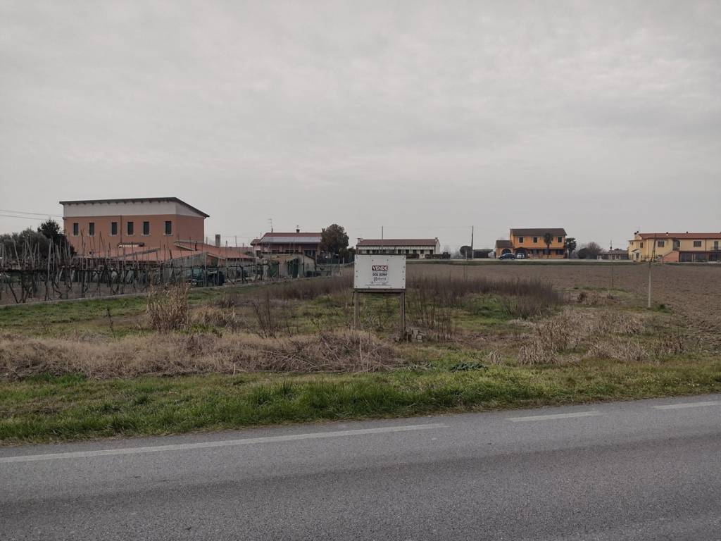 terreno edificabile in vendita a Cavarzere