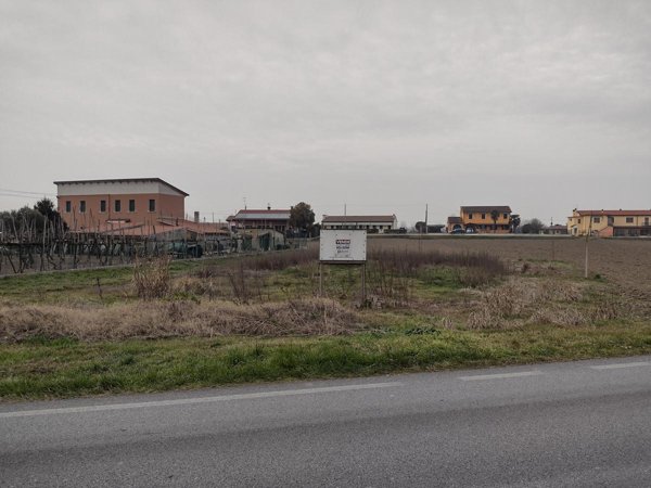 terreno edificabile in vendita a Cavarzere