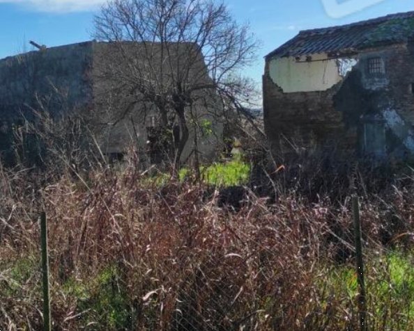 casa indipendente in vendita a Cavarzere