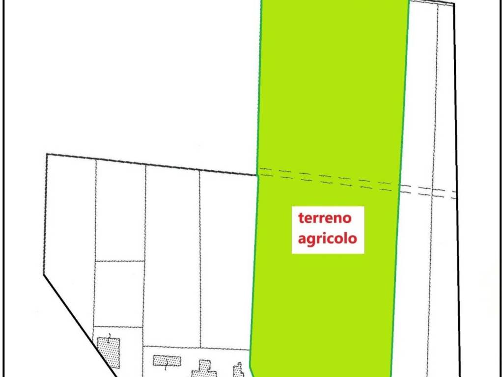 terreno agricolo in vendita a Cavarzere in zona Grignella