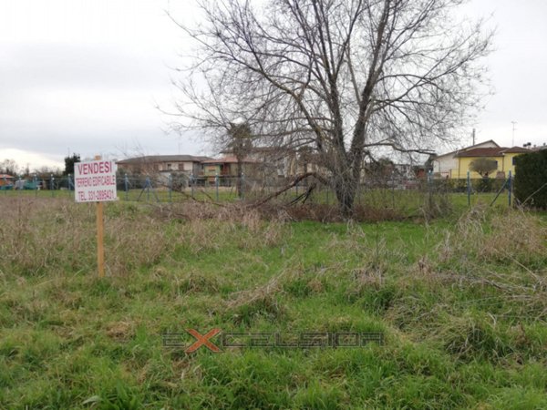 terreno edificabile in vendita a Cavarzere