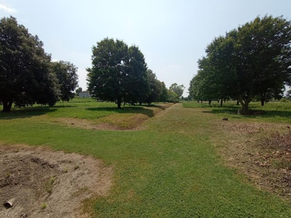 casa indipendente in vendita a Cavarzere