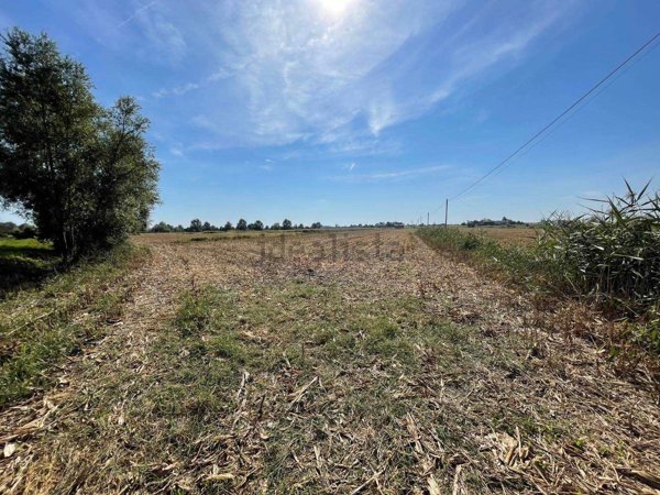 terreno agricolo in vendita a Cavarzere