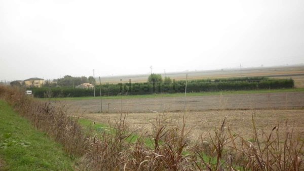 appartamento in vendita a Cavarzere