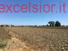 locale di sgombero in vendita a Cavarzere