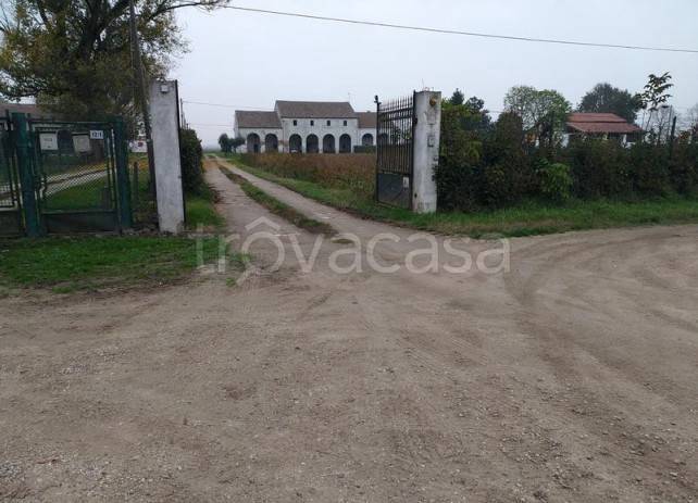 casa indipendente in vendita a Cavarzere in zona Rottanova