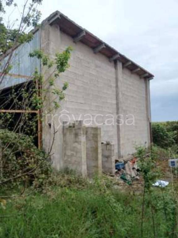 appartamento in vendita a Cavarzere