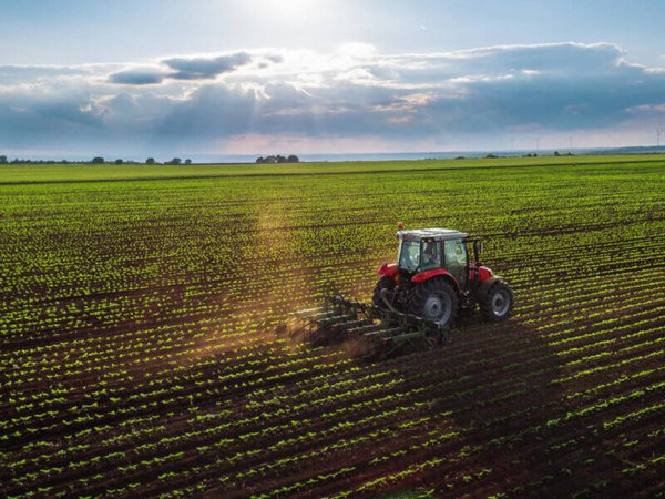 terreno agricolo in vendita a Cavarzere