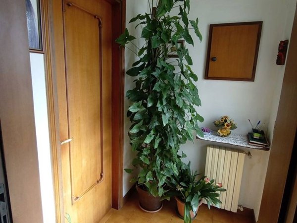 casa indipendente in vendita a Cavarzere