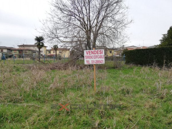 terreno edificabile in vendita a Cavarzere