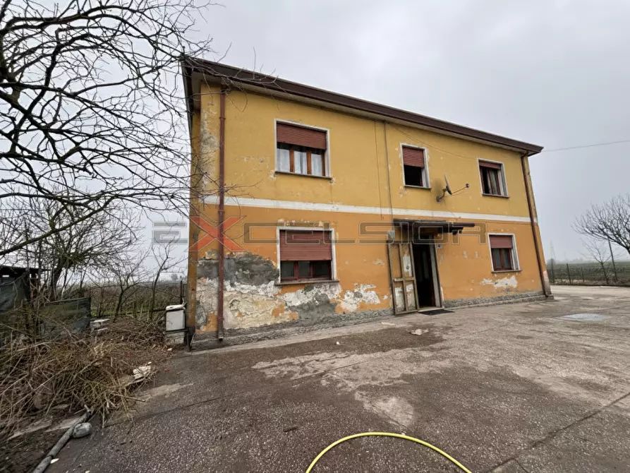 casa indipendente in vendita a Cavarzere in zona Grignella
