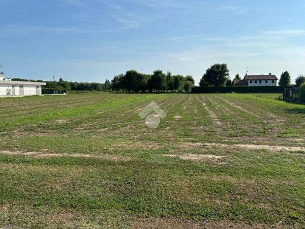 terreno agricolo in vendita a Ceggia in zona Gainiga