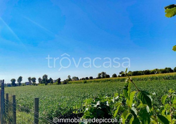 terreno agricolo in vendita a Ceggia