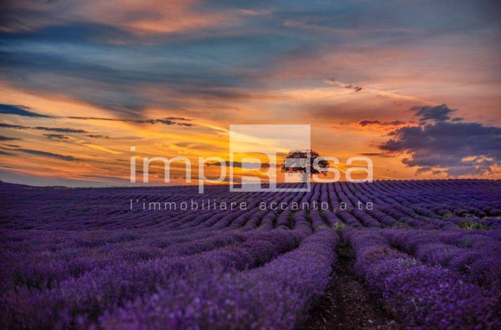 terreno agricolo in vendita a Ceggia in zona Gainiga