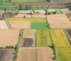 terreno agricolo in vendita a Chioggia in zona Borgo San Giovanni