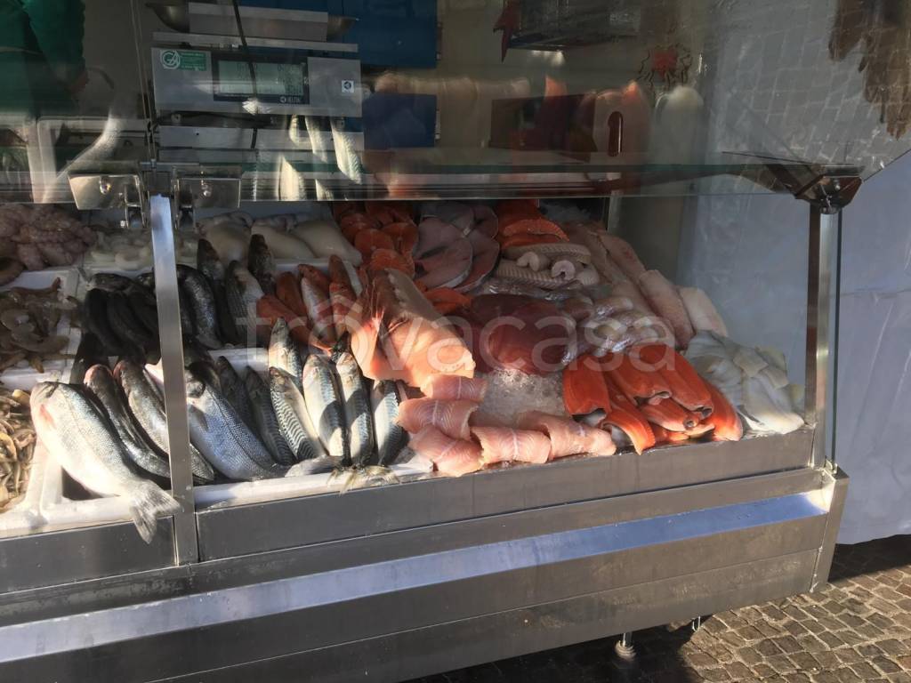 negozio in vendita a Chioggia
