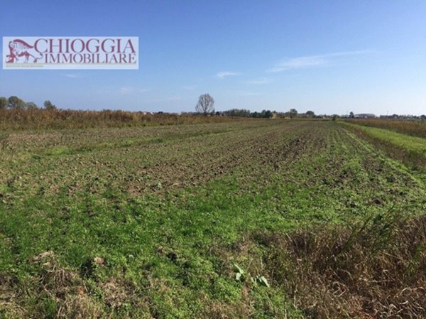 terreno agricolo in vendita a Chioggia in zona Cà Lino