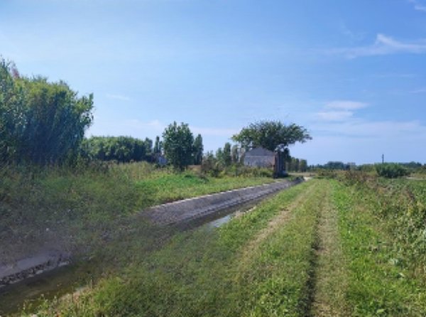 terreno agricolo in vendita a Chioggia