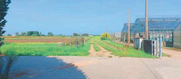 terreno edificabile in vendita a Chioggia in zona Cà Lino