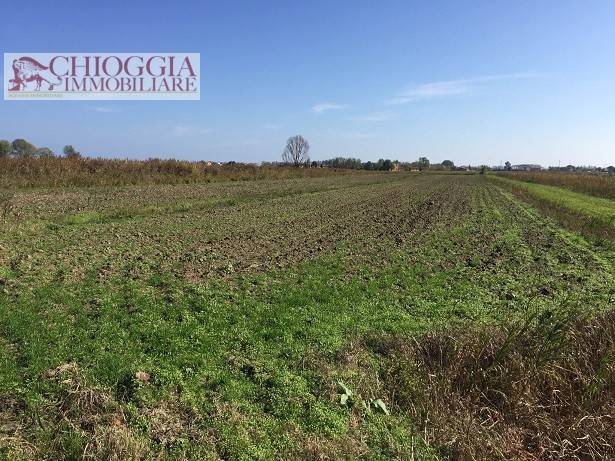 terreno agricolo in vendita a Chioggia in zona Cà Lino