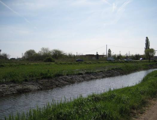 terreno agricolo in vendita a Chioggia