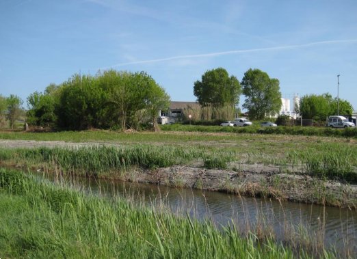 terreno agricolo in vendita a Chioggia