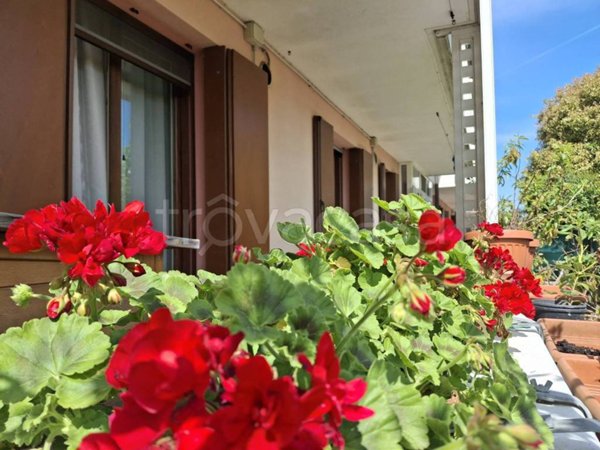 appartamento in vendita a Chioggia