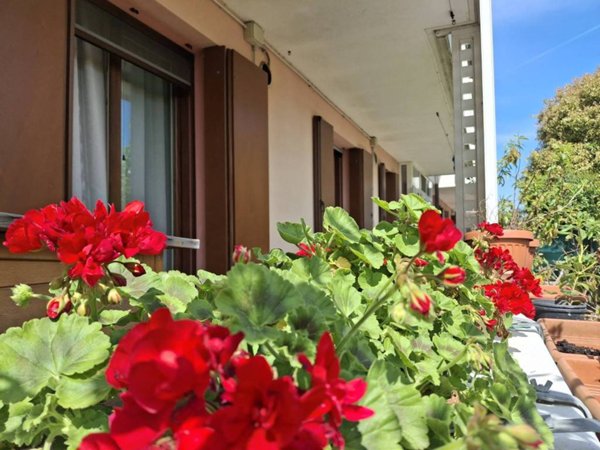 appartamento in vendita a Chioggia in zona Cà Lino