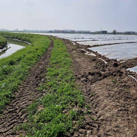 terreno edificabile in vendita a Chioggia in zona Cà Lino