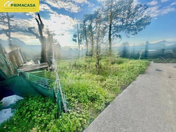 casa indipendente in vendita a Chioggia in zona Cà Lino