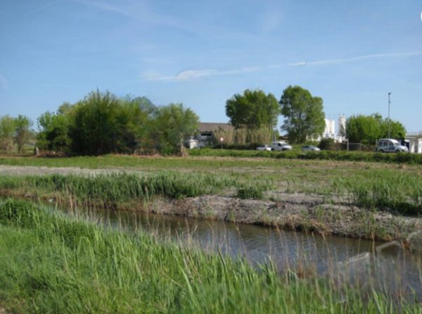 terreno agricolo in vendita a Chioggia