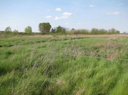 terreno agricolo in vendita a Chioggia
