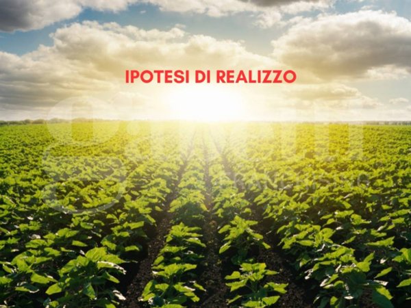 terreno agricolo in vendita a Chioggia in zona Sant'Anna di Chioggia