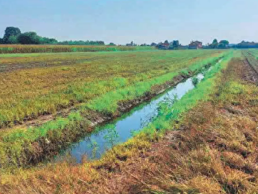 terreno edificabile in vendita a Chioggia in zona Cà Lino