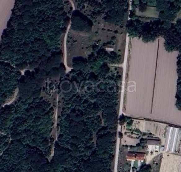appartamento in vendita a Chioggia