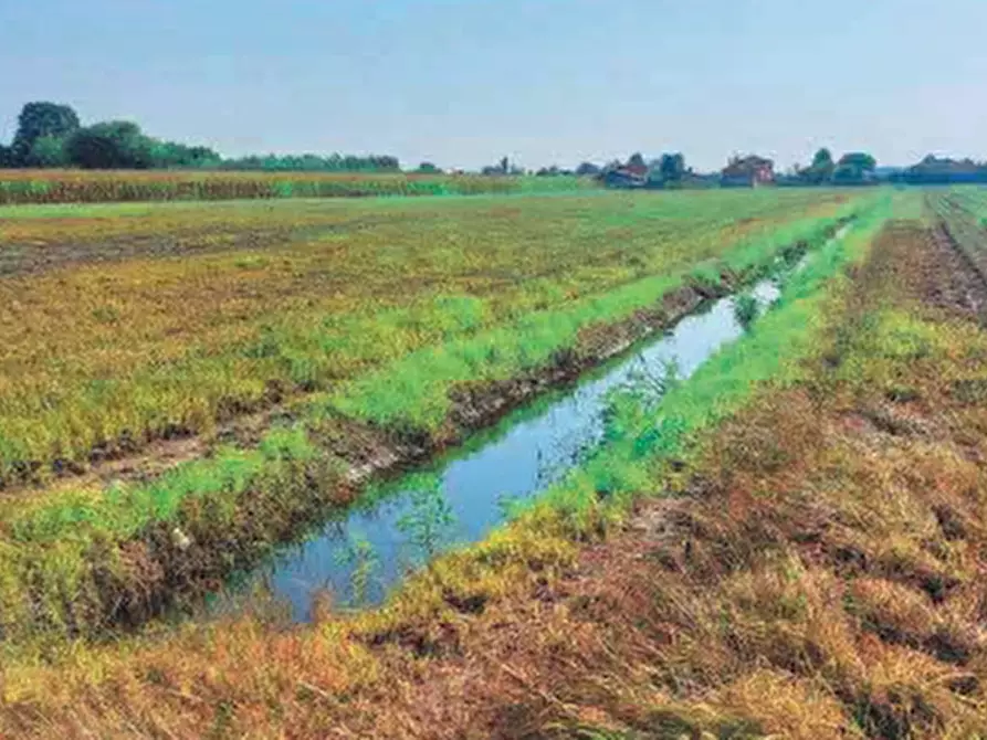 terreno edificabile in vendita a Chioggia in zona Cà Lino