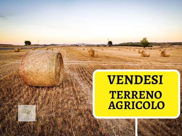 terreno agricolo in vendita a Chioggia in zona Borgo San Giovanni