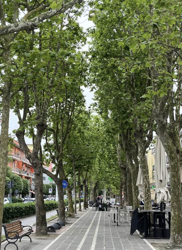 casa indipendente in vendita a Chioggia in zona Sottomarina
