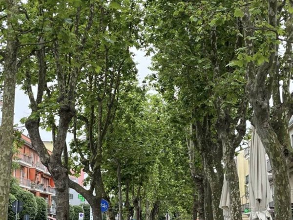 casa indipendente in vendita a Chioggia in zona Sottomarina