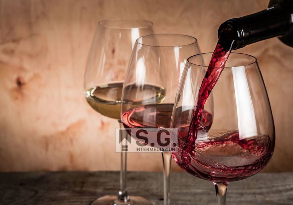 negozio in vendita a Chioggia in zona Sottomarina