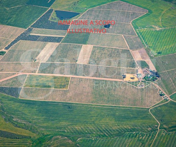 appartamento in vendita a Chioggia in zona Sottomarina