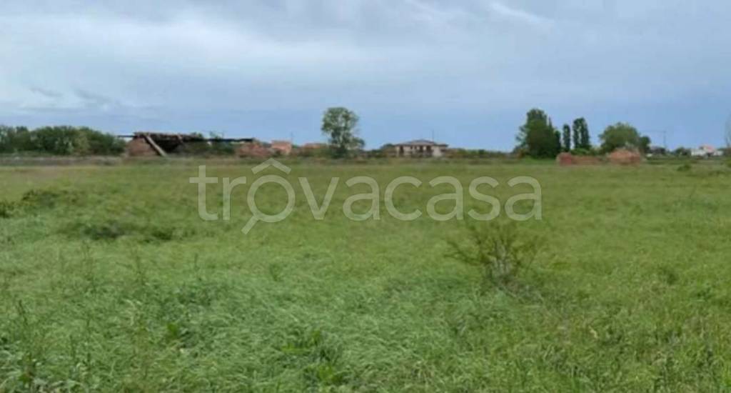 terreno agricolo in vendita a Chioggia