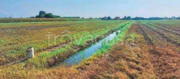 appartamento in vendita a Chioggia in zona Cà Lino