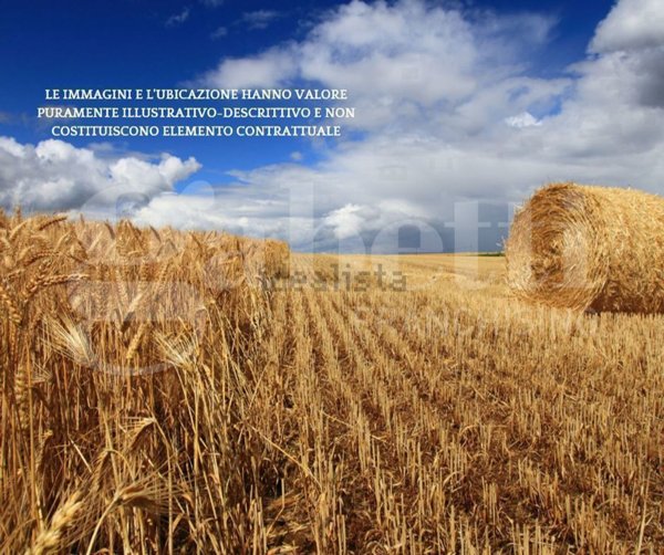 terreno agricolo in vendita a Chioggia in zona Ca' Bianca