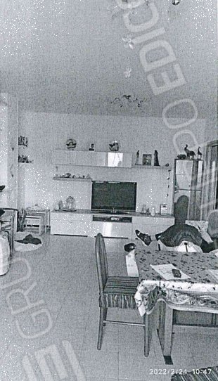 appartamento in vendita a Chioggia